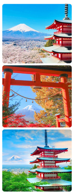 Mount Fuji Fruit Picking & Popular Sightseeing Train Day Trip | Mount Fuji 5th Station/Arakurayama Sengen Park, Sightseeing Train, Oishi Park, Yamanashi Fuji Fruit Park Day Trip (Round Trip from Tokyo) - Fruit picking at Yamanashi Fuji Fruit Park