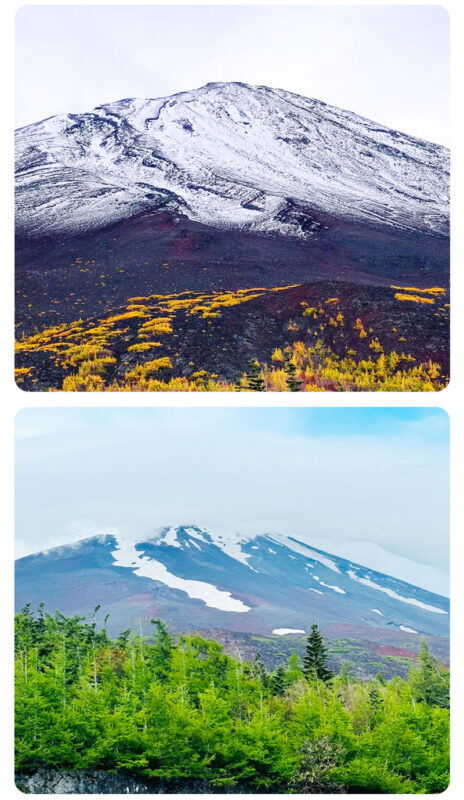 Mount Fuji Fruit Picking & Popular Sightseeing Train Day Trip | Mount Fuji 5th Station/Arakurayama Sengen Park, Sightseeing Train, Oishi Park, Yamanashi Fuji Fruit Park Day Trip (Round Trip from Tokyo) - What the price covers, and where value lies