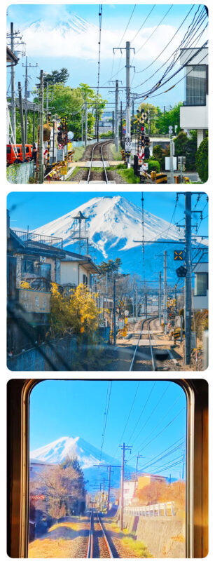 Mount Fuji Fruit Picking & Popular Sightseeing Train Day Trip | Mount Fuji 5th Station/Arakurayama Sengen Park, Sightseeing Train, Oishi Park, Yamanashi Fuji Fruit Park Day Trip (Round Trip from Tokyo) - Who should book this day trip?