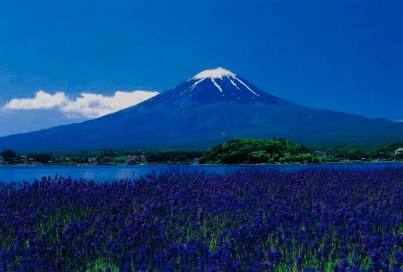 Mount Fuji & Fuji-Q Highland Private Day Trip - A car, a guide, and room to adjust