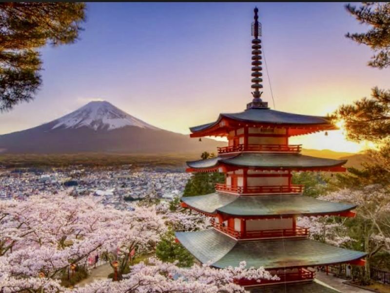 Mount Fuji & Fuji-Q Highland Private Day Trip - Lunch and small comforts that matter