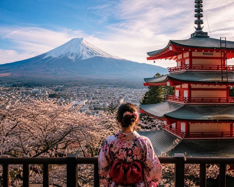 Mount Fuji & Fuji-Q Highland Private Day Trip - Is the price worth it?