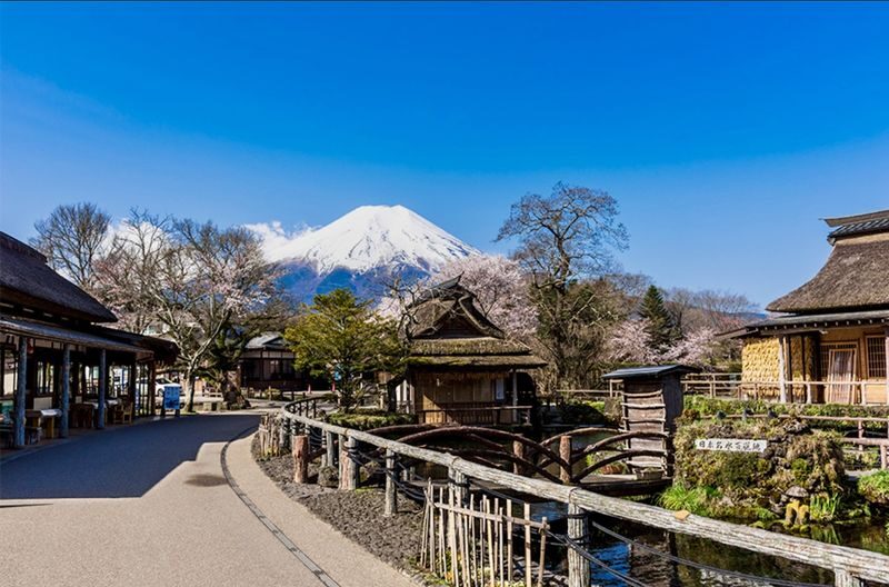 Mount Fuji & Fuji-Q Highland Private Day Trip - Weather, cancellations, and planning ahead