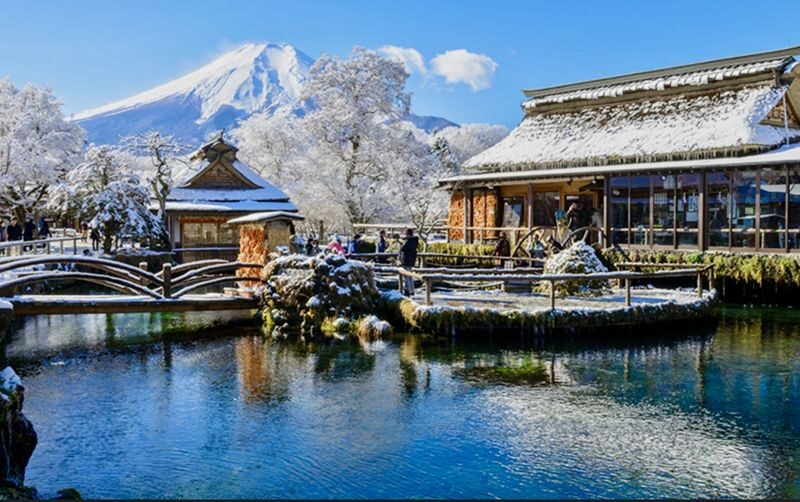 Mount Fuji & Fuji-Q Highland Private Day Trip - Who should book this Fuji day trip?
