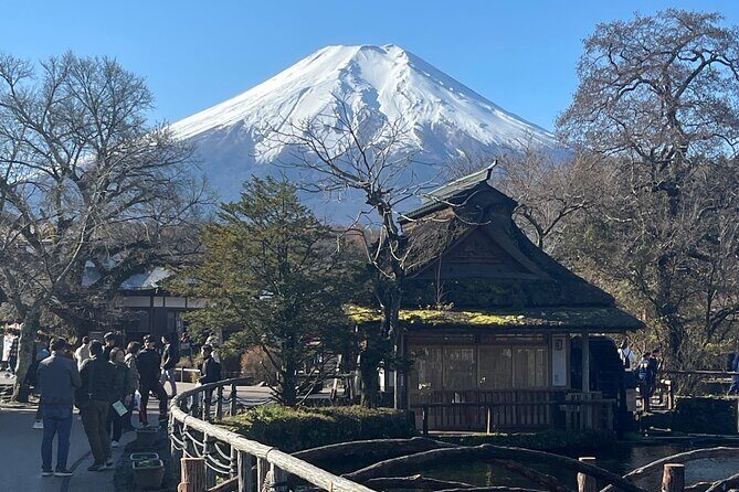 Mount Fuji Full Day Customize Private Tour with English Guide - A Detailed Breakdown of the Full Day Experience