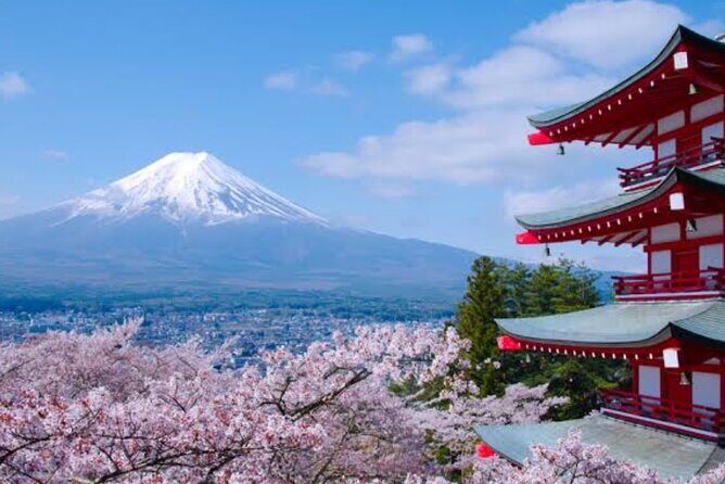 Mount Fuji Full Day Customize Private Tour with English Guide - What the Tour Includes and Costs