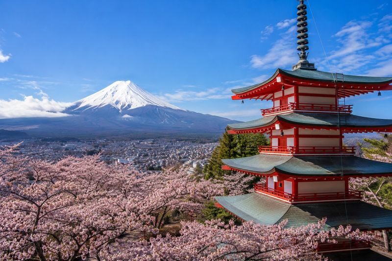 Mount Fuji Full-Day Private Tour - Starting early for clearer views and lighter traffic