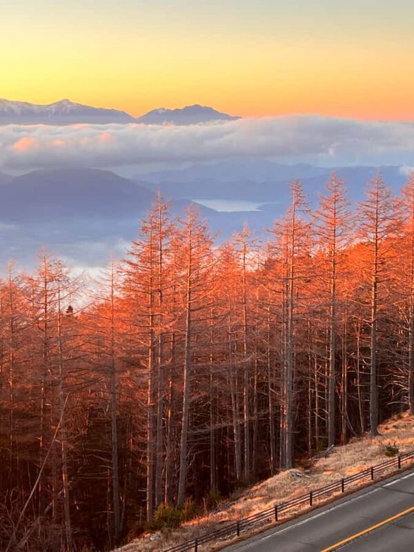 Mount Fuji Full-Day Private Tour from Tokyo (Customizable) - Good To Know