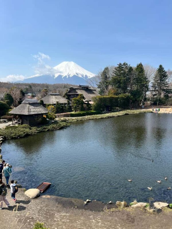 Mount Fuji Full-Day Private Tour from Tokyo (Customizable) - The Hakone Experience: Nature, Art, and Relaxation