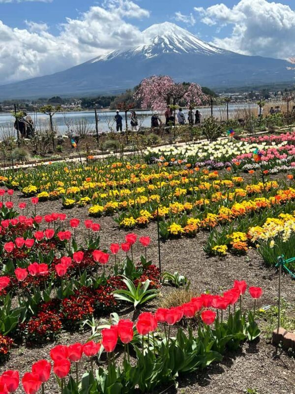 Mount Fuji Full-Day Private Tour from Tokyo (Customizable) - The Sum Up