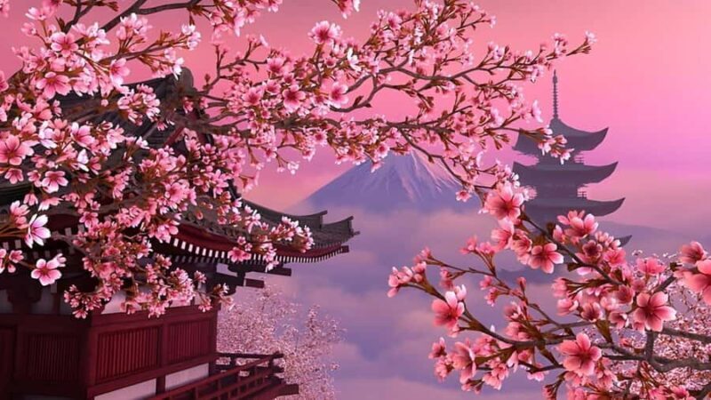 Mount Fuji Full Day Private Tour From Tokyo (Customizable) - The Cost and Value