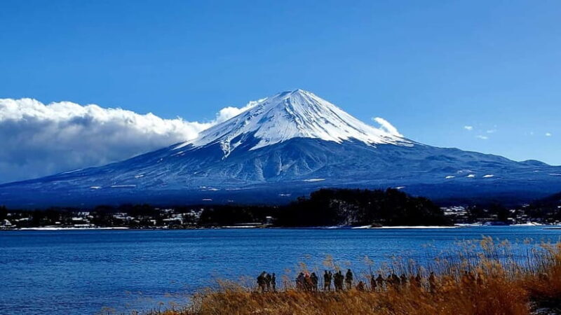 Mount Fuji Full-Day Private Tour from Tokyo (Customizable) - Who Would Love This Tour?