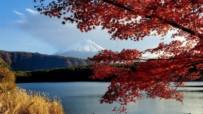 Mount Fuji Full-Day Private Tour from Tokyo (Customizable) - FAQs