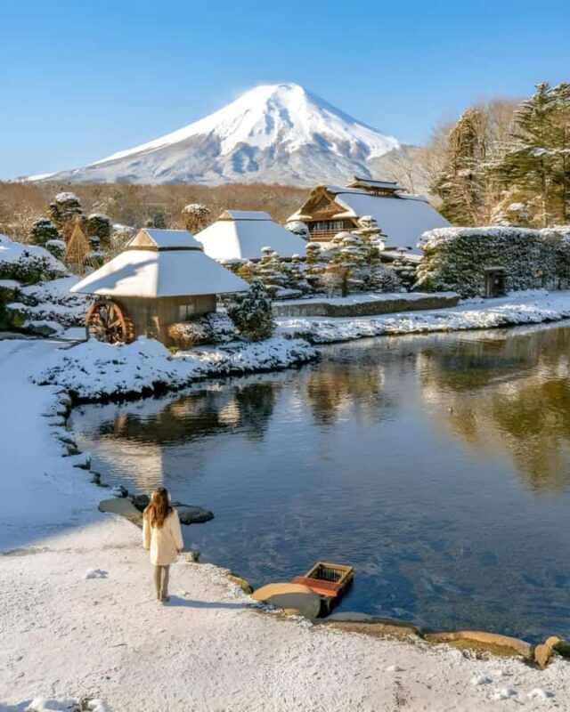 Mount Fuji Full Day Private Tour From Tokyo (Customizable) - Good To Know