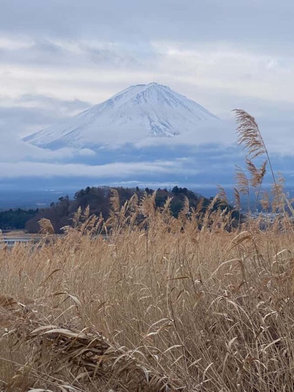 Mount Fuji Full Day Private Tour From Tokyo (Customizable) - FAQ