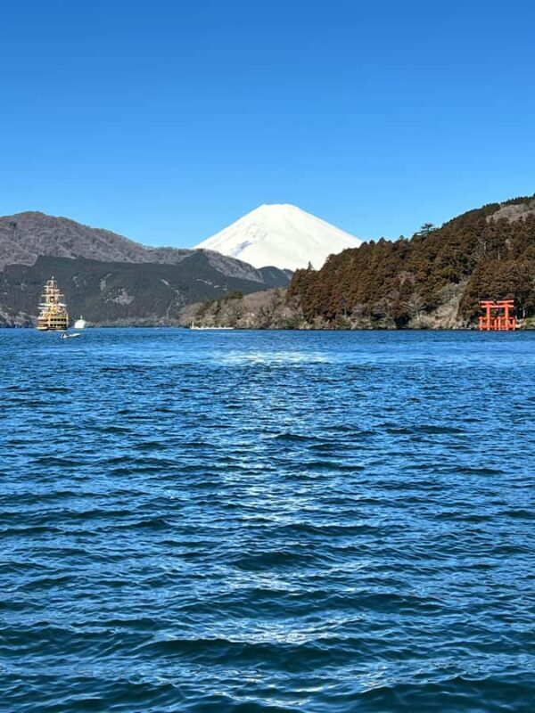 Mount Fuji Full-Day Private Tour from Tokyo (Customizable) - The Ultimate Guide to Your Mount Fuji & Hakone Day Trip