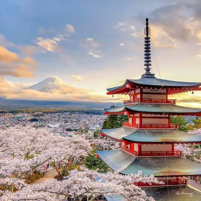 Mount Fuji Full Day Private Tour from Tokyo Full Customized - Good To Know  