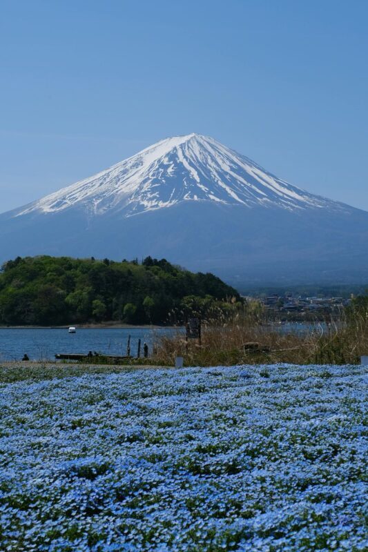 Mount Fuji Full-Day Private Tour with Customizable Itinerary - A pagoda or another must-see stop
