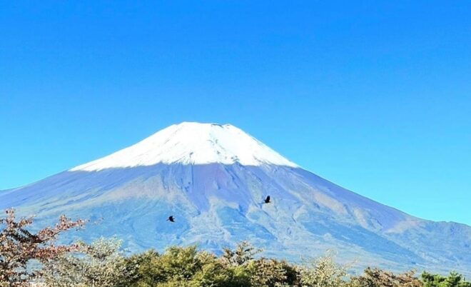 Mount Fuji Full Day Private Tour With English Speaking Guide - Accessibility Features