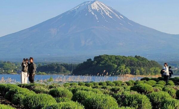 Mount Fuji Full Day Private Tour With English Speaking Guide - Booking Information
