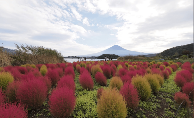 Mount Fuji Full Day Private Tour With Pick-Up and Drop off - Tour Inclusions