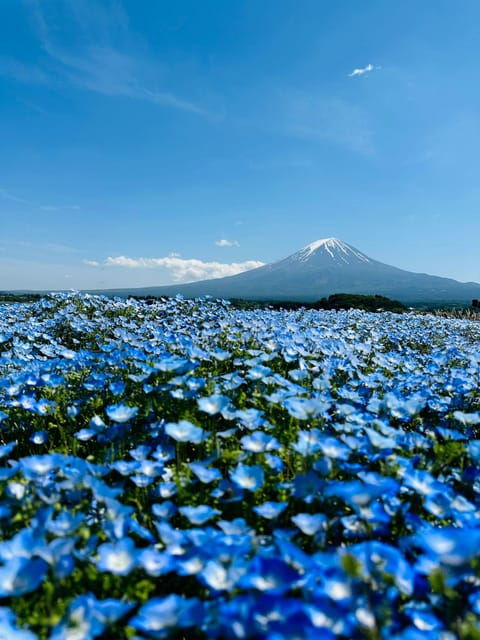 Mount Fuji Full Day Private Trip With English Speak Driver - Attractions and Experiences