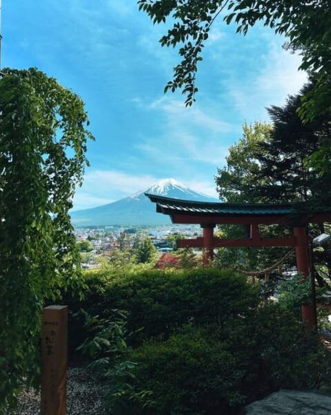 Mount Fuji Full Day Private Trip With English Speak Driver - Important Information