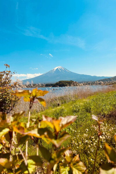 Mount Fuji Full Day Private Trip With English Speak Driver - Booking and Cancellation Policy