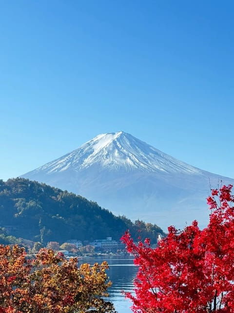 Mount Fuji Full Day Sightseeing Private Tour - Good To Know
