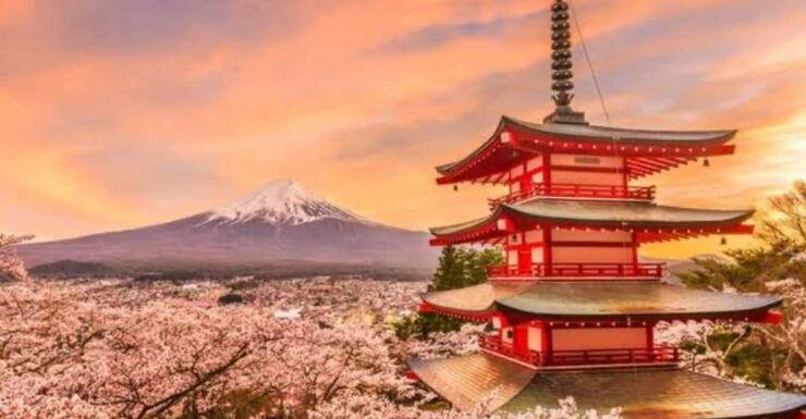 Mount Fuji Full Day Sightseeing Private Tour - Booking Information