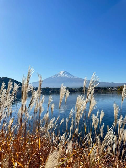 Mount Fuji Full Day Sightseeing Private Tour - Experience Highlights