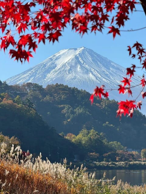 Mount Fuji Full Day Sightseeing Private Tour - Optional Itinerary