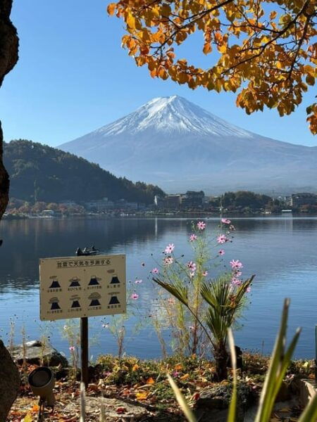 Mount Fuji Full Day Sightseeing Private Tour - Transportation Details
