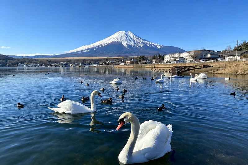 Mount Fuji Full-Day Small Group driver-guide tour (with Pick-up option) - A full day built around Fuji views