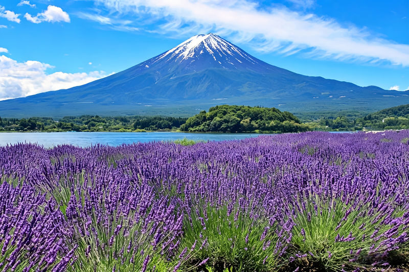 Mount Fuji Full-Day Small Group driver-guide tour (with Pick-up option) - What the driver-guide adds