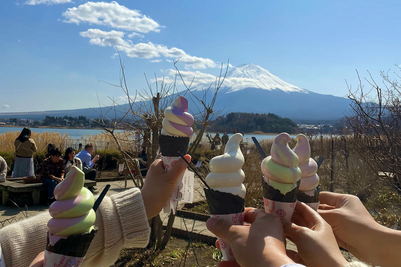 Mount Fuji Full-Day Small Group driver-guide tour (with Pick-up option) - Crowds, traffic, and timing