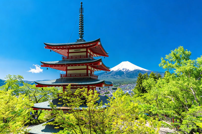 Mount Fuji Full-Day Small Group driver-guide tour (with Pick-up option) - Who should book this Fuji day trip?