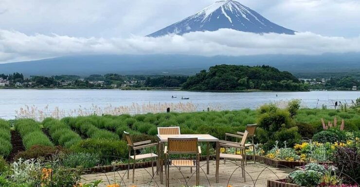 MOUNT FUJI FULL DAY TOUR ALONG WITH A ENGLISH GUIDE - Good To Know