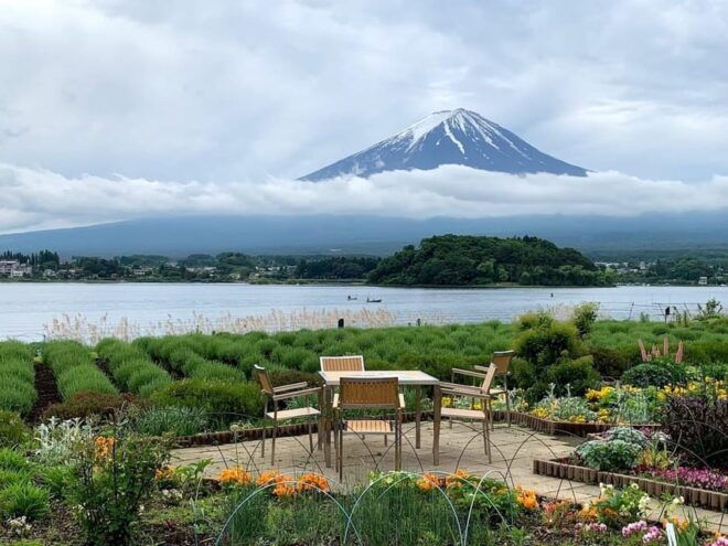 MOUNT FUJI FULL DAY TOUR ALONG WITH A ENGLISH GUIDE - Customer Reviews