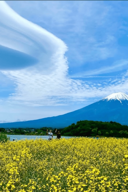 Mount Fuji Full Day Tour With Private Guide With Pick-Up - Customization Options for Your Itinerary