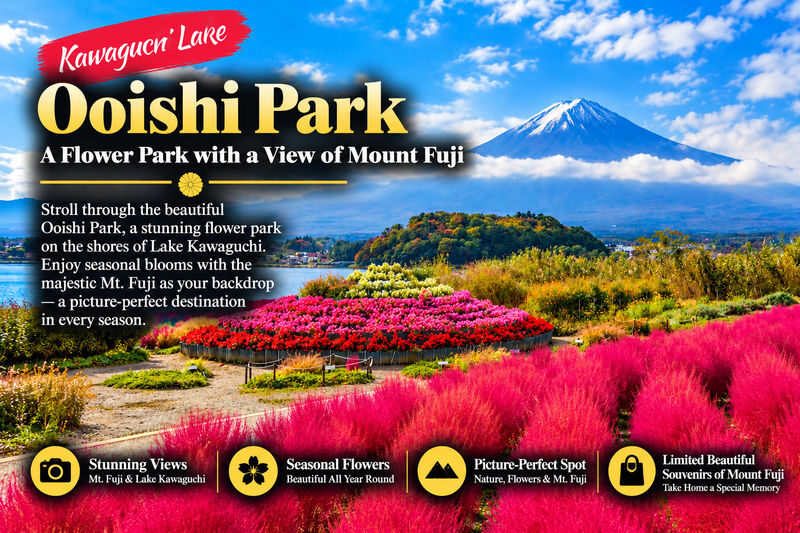 Mount Fuji Full Sightseeing Day Trip from Tokyo or Shinjuku - Why this route makes sense from Tokyo