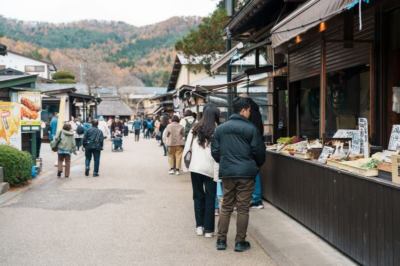 Mount Fuji Full Sightseeing Day Trip from Tokyo or Shinjuku - Meeting in Shinjuku and booking details