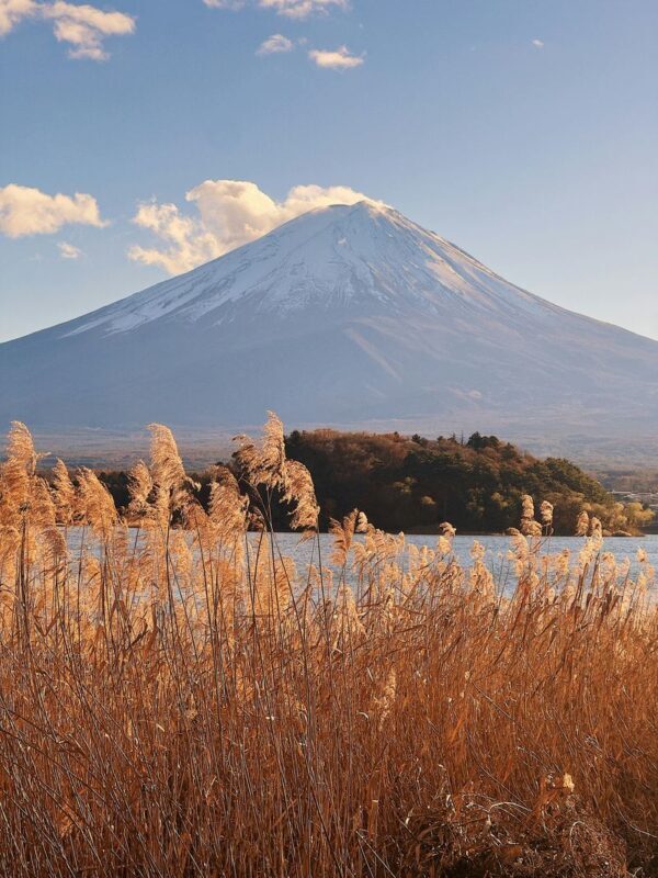 Mount Fuji & Gotemba Full-Day Private Customizable Tour - Traffic, meals, and the costs to check
