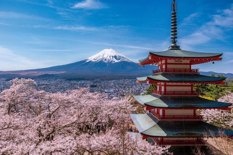 Mount Fuji & Gotemba Premium Outlets Full-Day Private Tour - Key points before you book