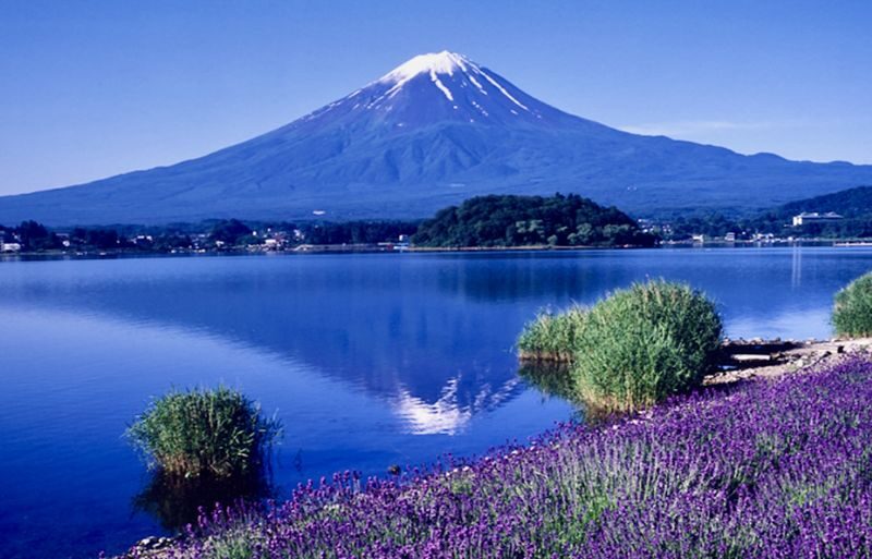 Mount Fuji & Gotemba Premium Outlets Full-Day Private Tour - What the guide can add