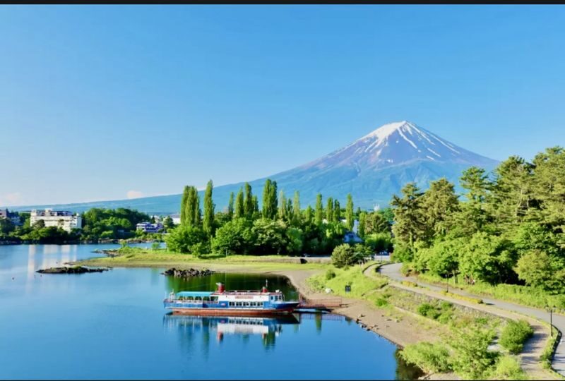 Mount Fuji & Gotemba Premium Outlets Full-Day Private Tour - Families and groups: where private transport earns its keep