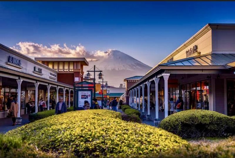 Mount Fuji & Gotemba Premium Outlets Full-Day Private Tour - Should you book this Mount Fuji and Gotemba tour?