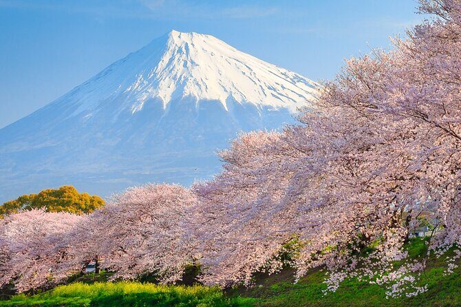 Mount Fuji & Hakone: 1-Day Private Van Tour with Hotel Pick-Up - Exploring the Itinerary and Highlights