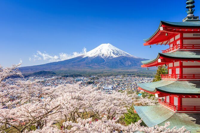 Mount Fuji & Hakone: 1-Day Private Van Tour with Hotel Pick-Up - What Travelers Can Expect