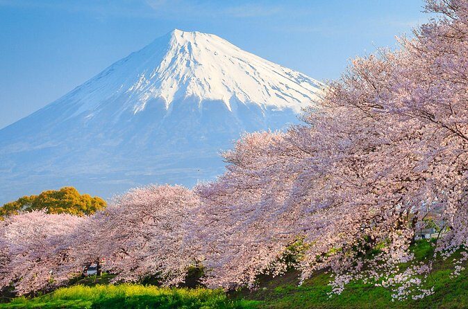 Mount Fuji & Hakone: 1-Day Private Van Tour with Hotel Pick-Up - The Sum Up